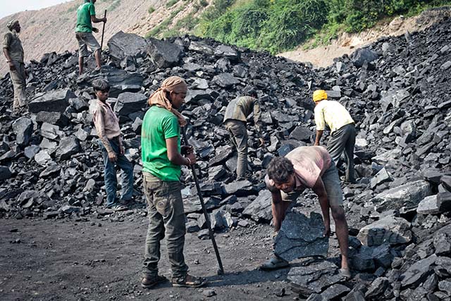 A fine of Rs 43.25 cr slapped on Coal India for illegal mining in Assam forest
