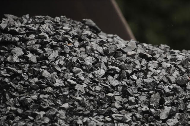 Maharashtra’s Bander coal block near Tadoba reserve withdrawn from auction by Govt