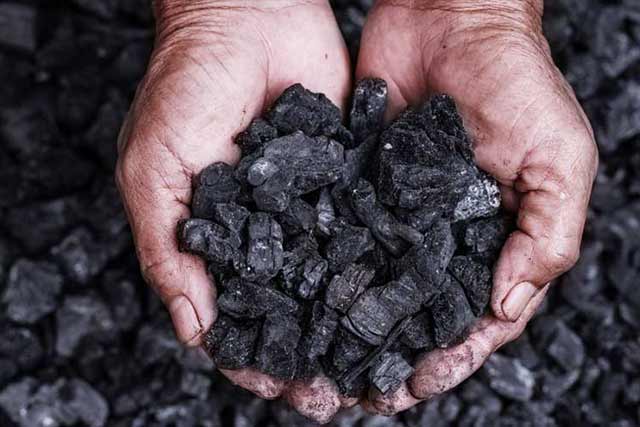 Last day of coal auction closes with record bid of 66.75% revenue share