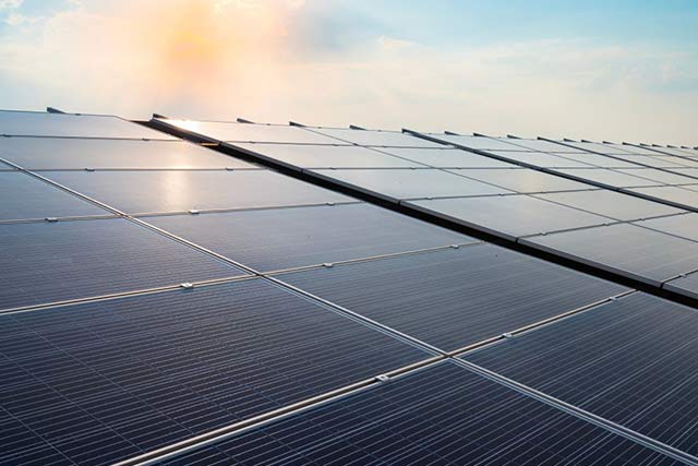 Tangedco invites bids to purchase land for renewable energy park