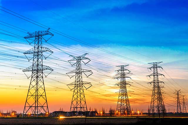 Underground overhead power lines or install bird diverters: SC