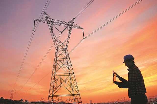 Put on hold privatisation of electricity distribution: AIPEF
